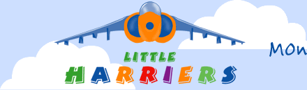 Little Harriers Motessori Day Nurseries